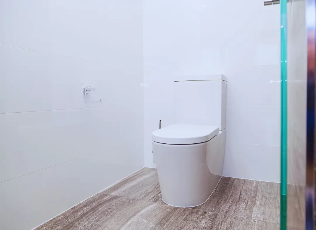 Remplacement de wc Cazères